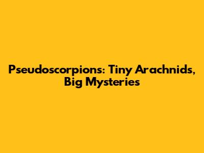 Pseudoscorpions: Tiny Arachnids, Big Mysteries