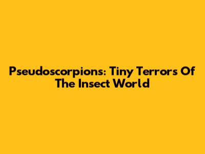 Pseudoscorpions: Tiny Terrors Of The Insect World