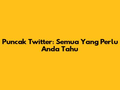 Puncak Twitter: Semua Yang Perlu Anda Tahu