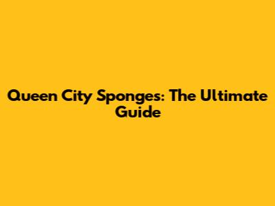 Queen City Sponges: The Ultimate Guide