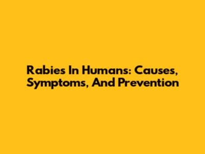 Rabies In Humans: Causes, Symptoms, And Prevention