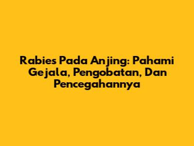 Rabies Pada Anjing: Pahami Gejala, Pengobatan, Dan Pencegahannya