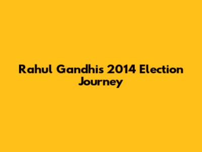 Rahul Gandhi's 2014 Election Journey