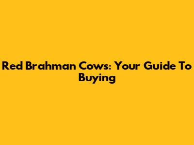 Red Brahman Cows: Your Guide To Buying