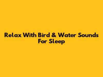 Relax With Bird & Water Sounds For Sleep