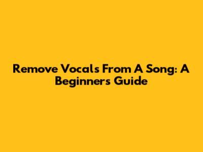 Remove Vocals From A Song: A Beginner's Guide