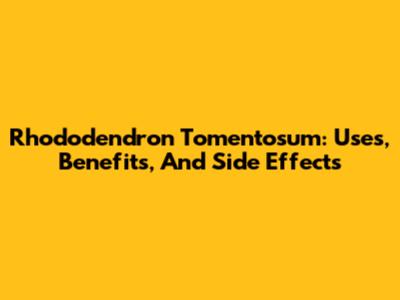 Rhododendron Tomentosum: Uses, Benefits, And Side Effects