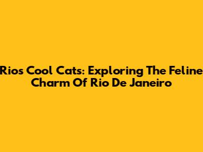 Rio's Cool Cats: Exploring The Feline Charm Of Rio De Janeiro