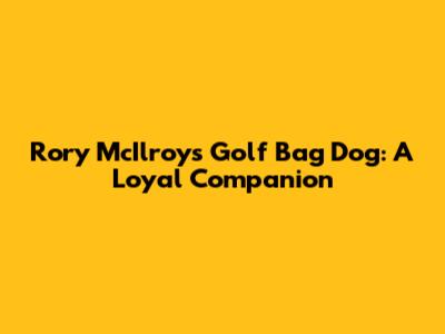 Rory McIlroy's Golf Bag Dog: A Loyal Companion