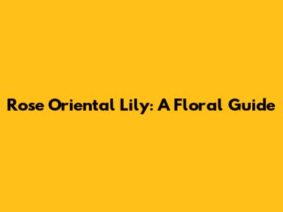 Rose Oriental Lily: A Floral Guide