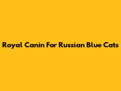 Royal Canin For Russian Blue Cats
