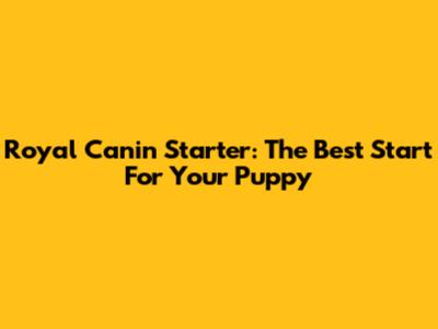 Royal Canin Starter: The Best Start For Your Puppy