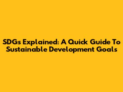 SDGs Explained: A Quick Guide To Sustainable Development Goals