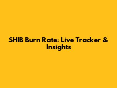 SHIB Burn Rate: Live Tracker & Insights