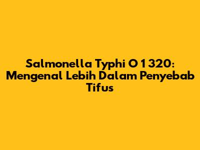Salmonella Typhi O 1 320: Mengenal Lebih Dalam Penyebab Tifus