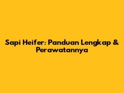 Sapi Heifer: Panduan Lengkap & Perawatannya