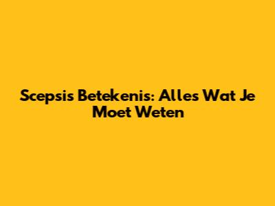 Scepsis Betekenis: Alles Wat Je Moet Weten