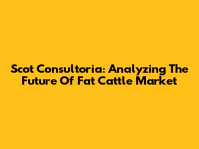 Scot Consultoria: Analyzing The Future Of Fat Cattle Market