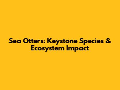Sea Otters: Keystone Species & Ecosystem Impact