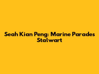 Seah Kian Peng: Marine Parade's Stalwart