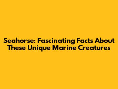 Seahorse: Fascinating Facts About These Unique Marine Creatures
