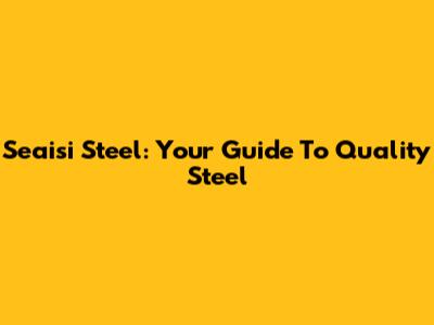 Seaisi Steel: Your Guide To Quality Steel