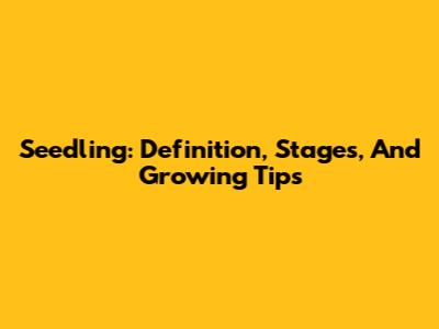 Seedling: Definition, Stages, And Growing Tips