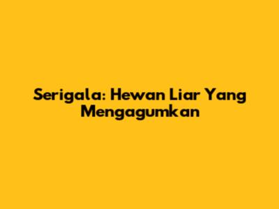 Serigala: Hewan Liar Yang Mengagumkan