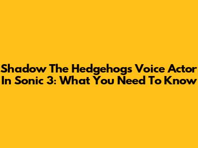 Shadow The Hedgehog's Voice Actor In Sonic 3: What You Need To Know