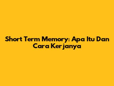 Short Term Memory: Apa Itu Dan Cara Kerjanya