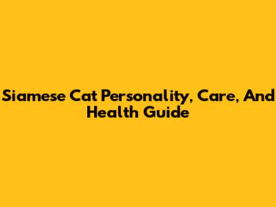 Siamese Cat Personality, Care, And Health Guide