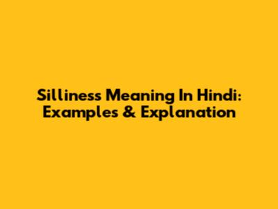 Silliness Meaning In Hindi: Examples & Explanation