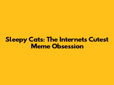 Sleepy Cats: The Internet's Cutest Meme Obsession