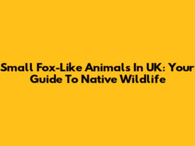 Small Fox-Like Animals In UK: Your Guide To Native Wildlife