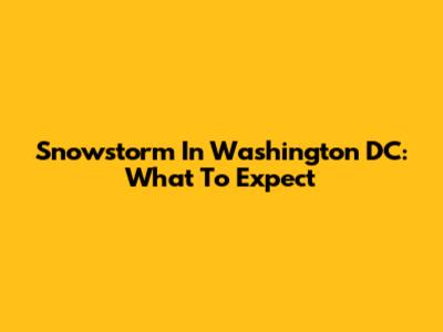 Snowstorm In Washington DC: What To Expect