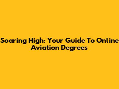 Soaring High: Your Guide To Online Aviation Degrees