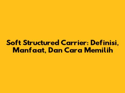 Soft Structured Carrier: Definisi, Manfaat, Dan Cara Memilih