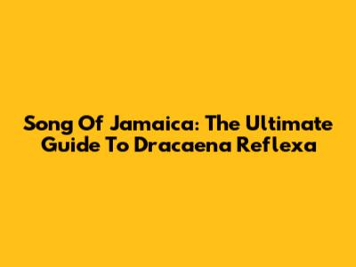 Song Of Jamaica: The Ultimate Guide To Dracaena Reflexa