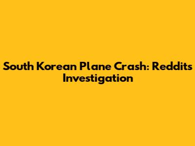 South Korean Plane Crash: Reddit's Investigation