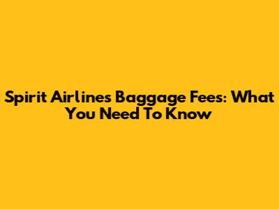 Spirit Airlines Baggage Fees: What You Need To Know