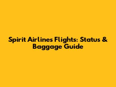 Spirit Airlines Flights: Status & Baggage Guide