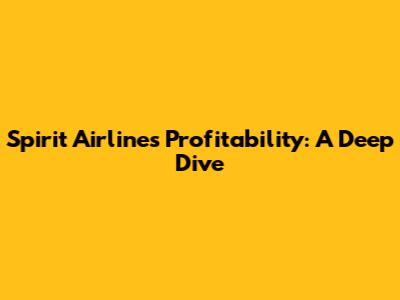 Spirit Airlines Profitability: A Deep Dive