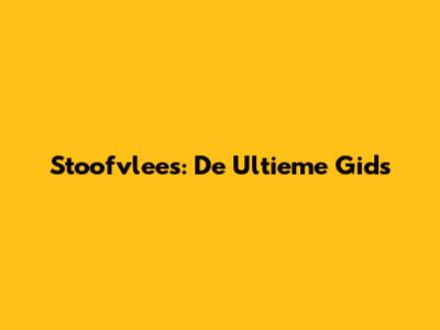 Stoofvlees: De Ultieme Gids
