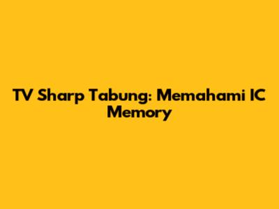 TV Sharp Tabung: Memahami IC Memory