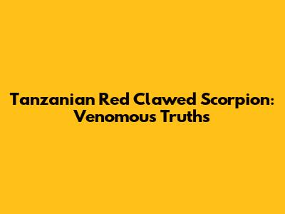 Tanzanian Red Clawed Scorpion: Venomous Truths