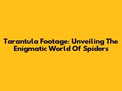 Tarantula Footage: Unveiling The Enigmatic World Of Spiders