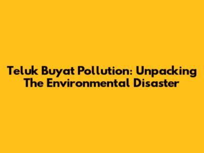 Teluk Buyat Pollution: Unpacking The Environmental Disaster