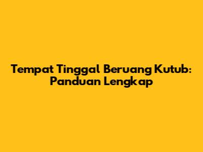 Tempat Tinggal Beruang Kutub: Panduan Lengkap