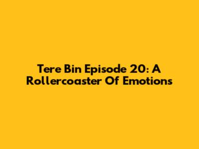 Tere Bin Episode 20: A Rollercoaster Of Emotions