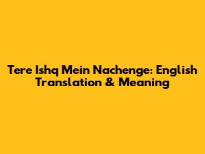Tere Ishq Mein Nachenge: English Translation & Meaning